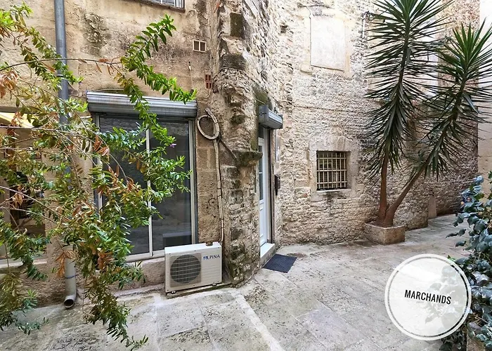 公寓 Atypique Souplex Hyper Centre Ecusson - Clim - 4p 尼姆