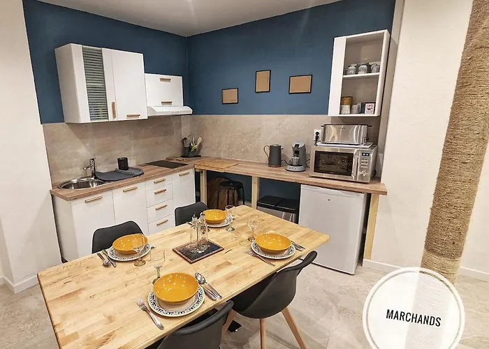 Atypique Souplex Hyper Centre Ecusson - Clim - 4p * 尼姆