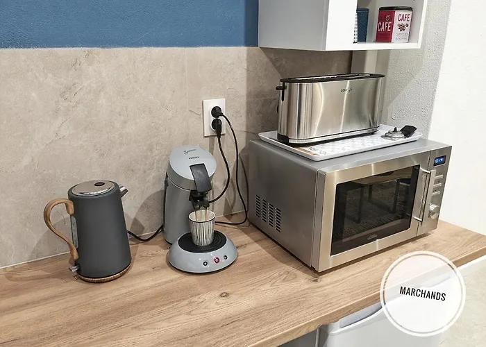 Atypique Souplex Hyper Centre Ecusson - Clim - 4p