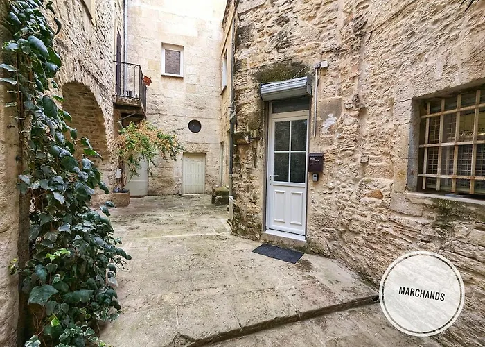 Atypique Souplex Hyper Centre Ecusson - Clim - 4p * 尼姆